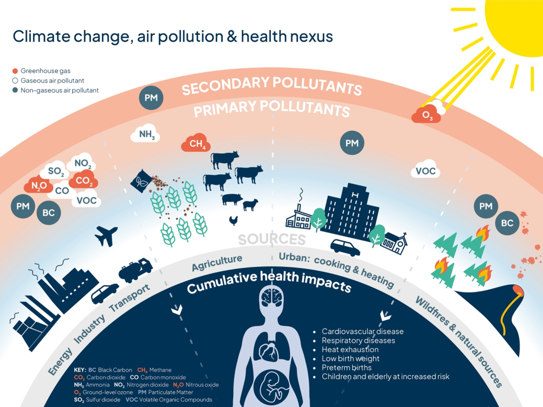 Respiratory health and climate change